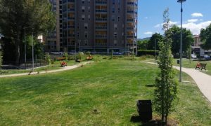 CONFARTIGIANATO TERNI: NON SI PUO’ RILANCIARE IL VERDE PUBBLICO E I SERVIZI CONNESSI SENZA LE IMPRESE DEL TERRITORIO