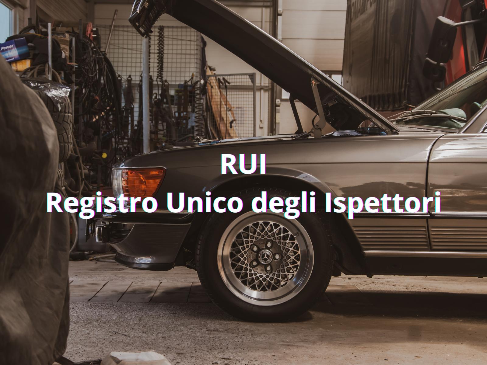 Al momento stai visualizzando Registro Unico Ispettori (RUI)